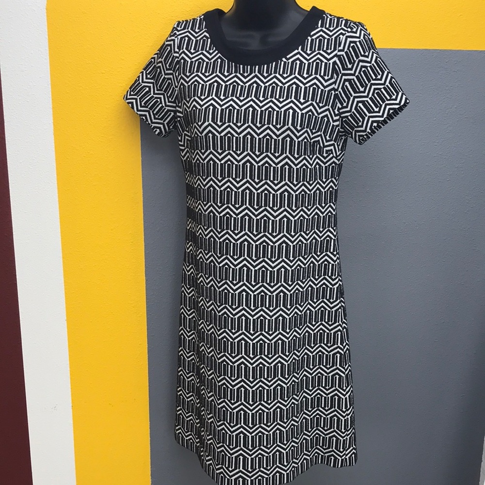 Banana Republic black and white above knee dress
